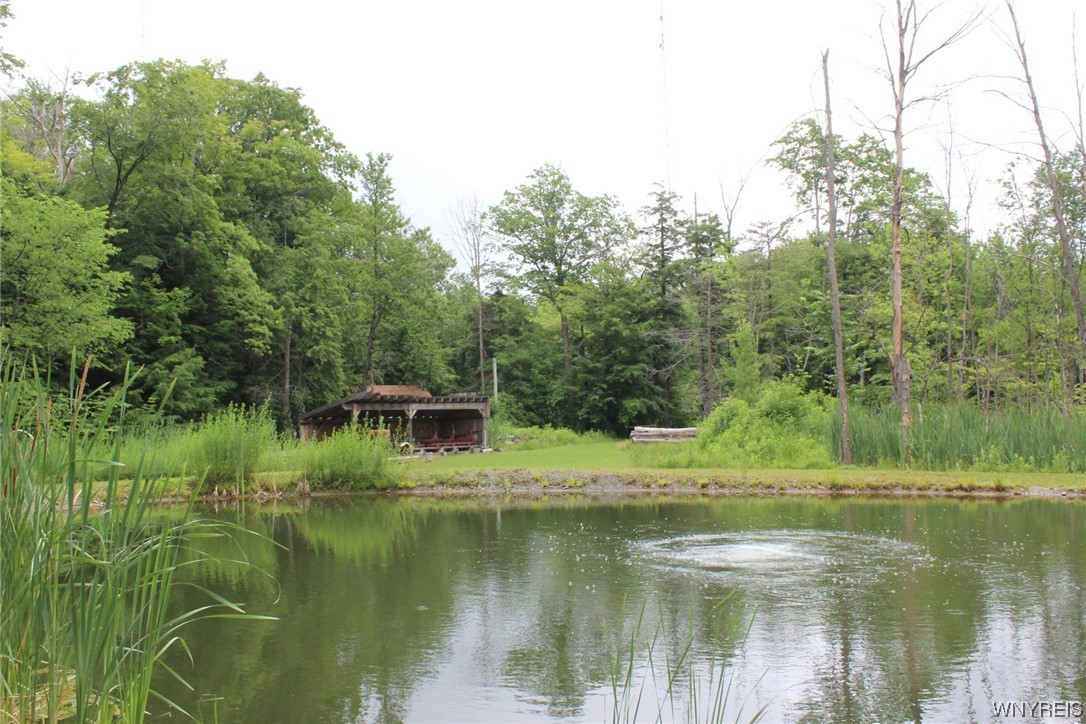 9060 Zimmerman Road Boston, NY 14025 - Photo 47 of 48