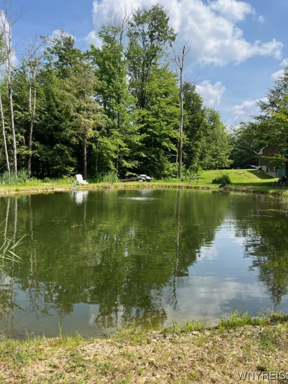 9060 Zimmerman Road Boston, NY 14025 - Photo 5 of 48