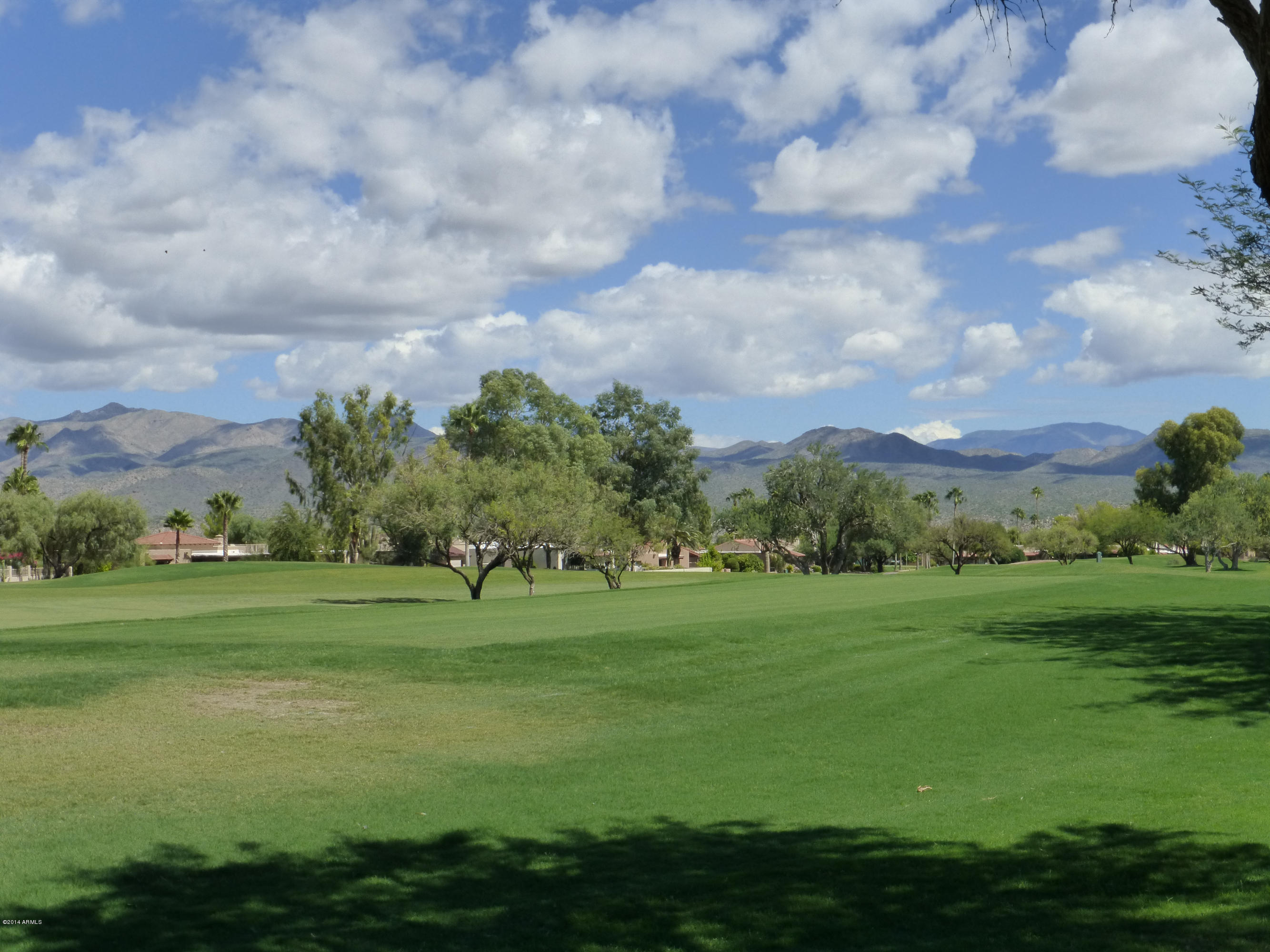 25850 North Lago Lane Rio Verde, AZ 85263 - Photo 39 of 41 P1020256