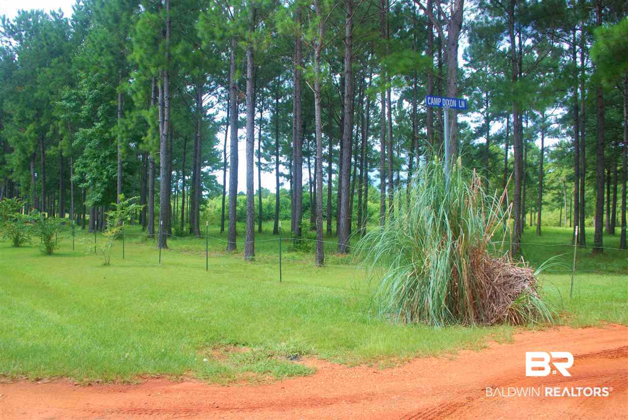 249 Camp Dixon Road Brewton, AL 36426 - Photo 31 of 48