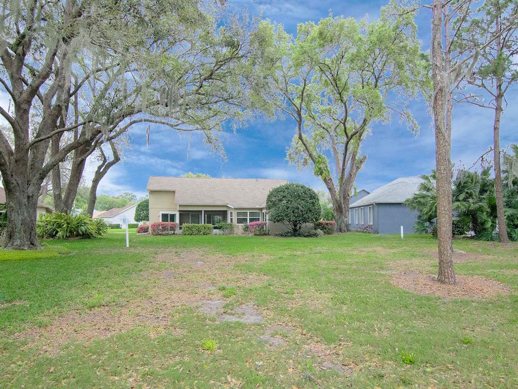 9744 Springmeadow Drive New Port Richey, FL 34655 - Photo 31 of 55 Gallery Image 31