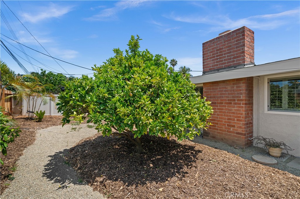 2115 Sterling Avenue Costa Mesa, CA 92627 - Photo 50 of 53 a backyard of a house with lots of green space