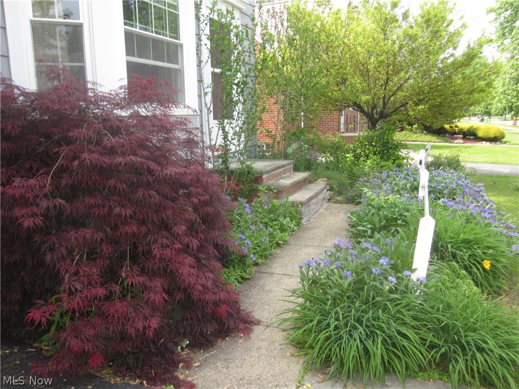 1260 Winston Road Cleveland, OH 44121 - Photo 2 of 11