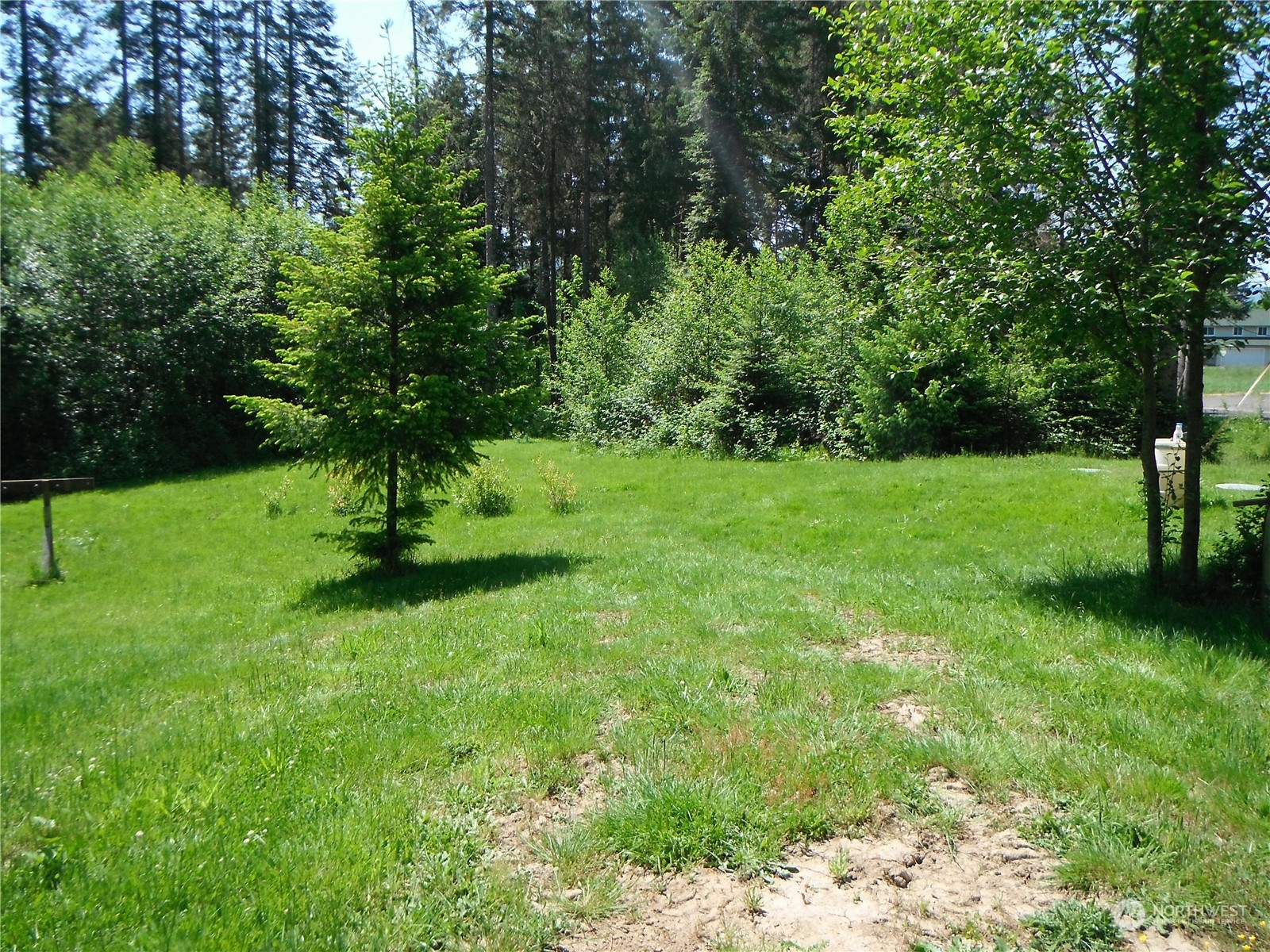 117 Dunivan Road Vader, WA 98593 - Photo 2 of 7 a view of a tree in a yard