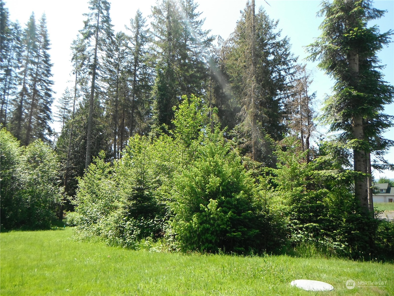 117 Dunivan Road Vader, WA 98593 - Photo 5 of 7 a view of a garden with a building