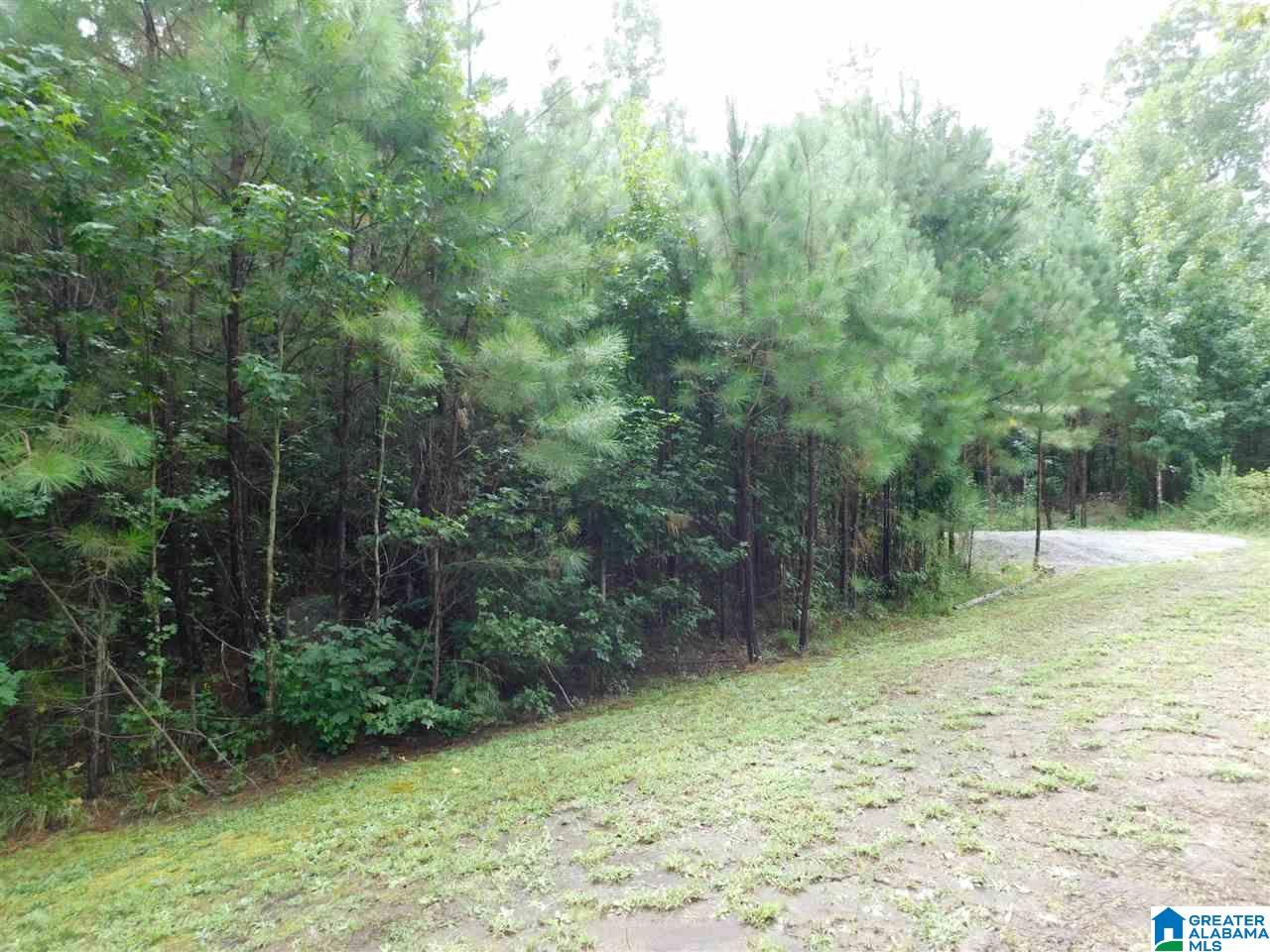 133 County Road, Unit 2 & 3 Empire, AL 35063 - Photo 3 of 15