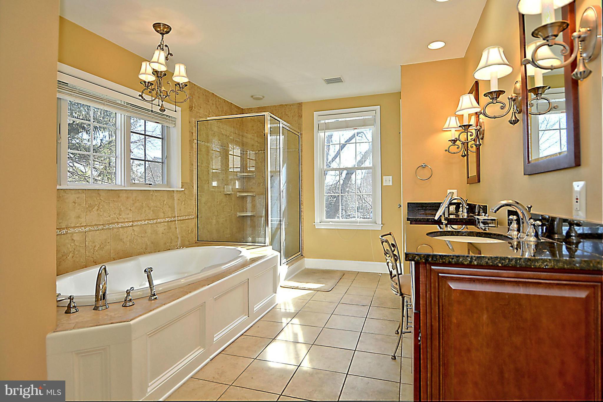 9609 Clarks Crossing Road Vienna, VA 22182 - Photo 6 of 28 Master bathroom