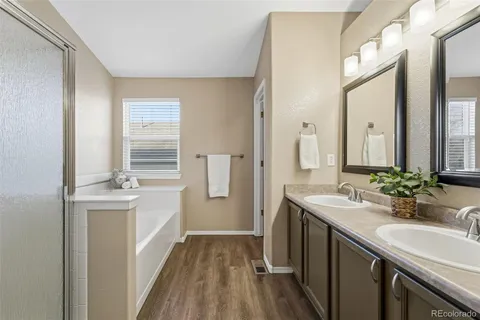 a bathroom with a sink a mirror and a shower