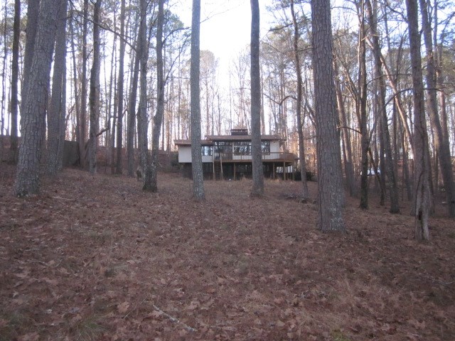 1015 Iron Mountain Road Canton, GA 30115 - Photo 7 of 24 a view of outdoor space with trees