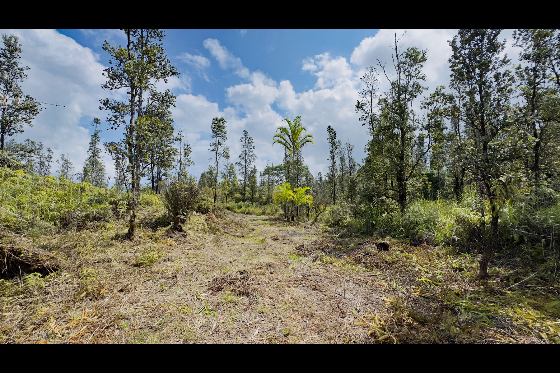 2444 Uhini Ana Rd Mountain View Pahoa, HI 96778 - Photo 2 of 25