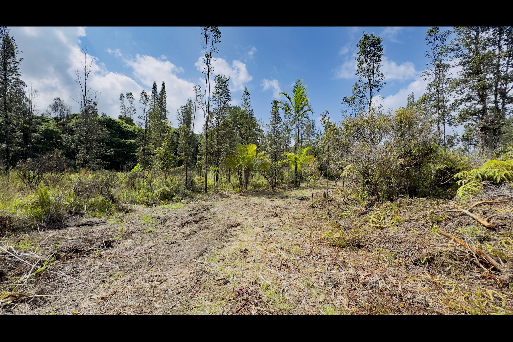 2444 Uhini Ana Rd Mountain View Pahoa, HI 96778 - Photo 21 of 25
