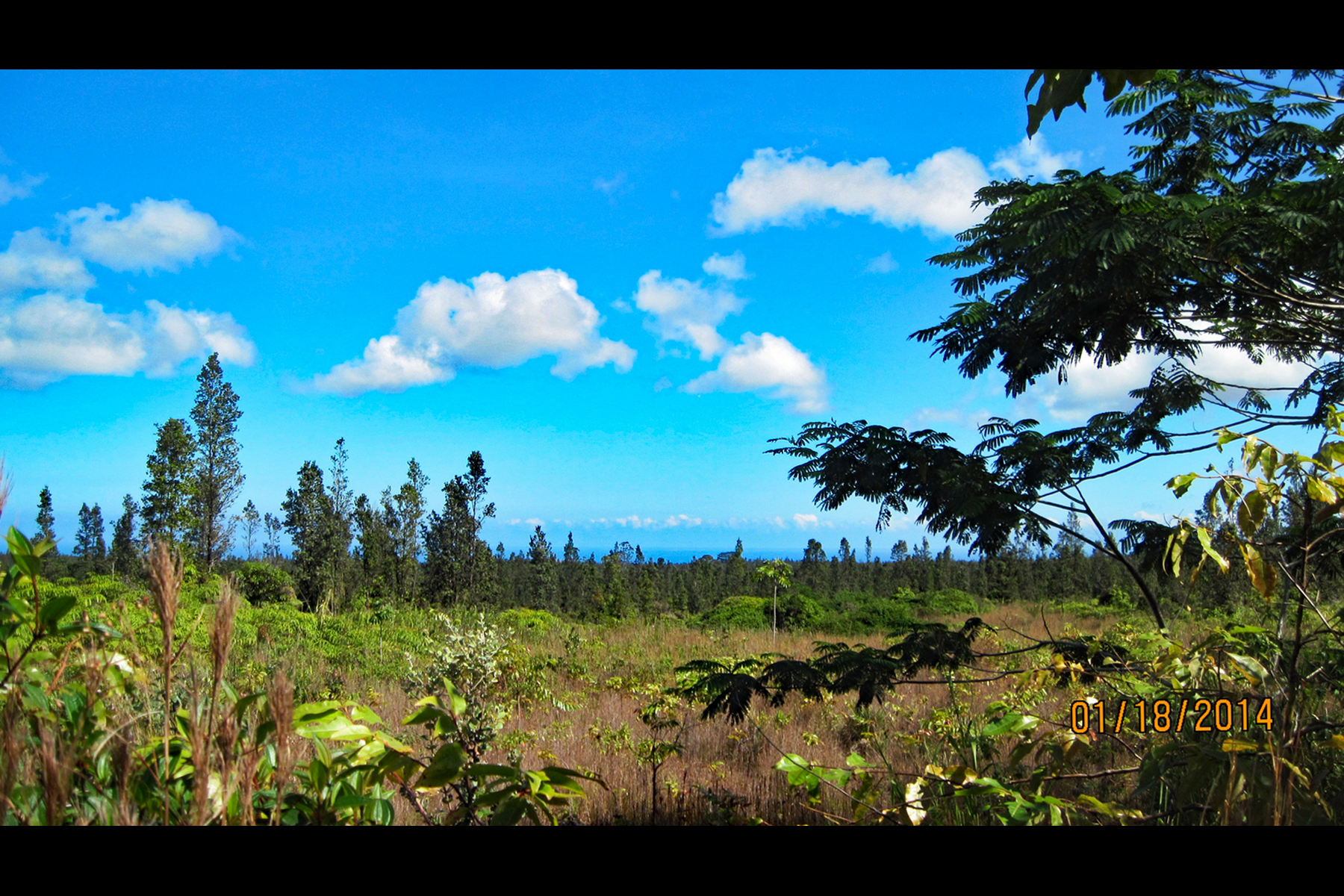 2444 Uhini Ana Rd Mountain View Pahoa, HI 96778 - Photo 22 of 25