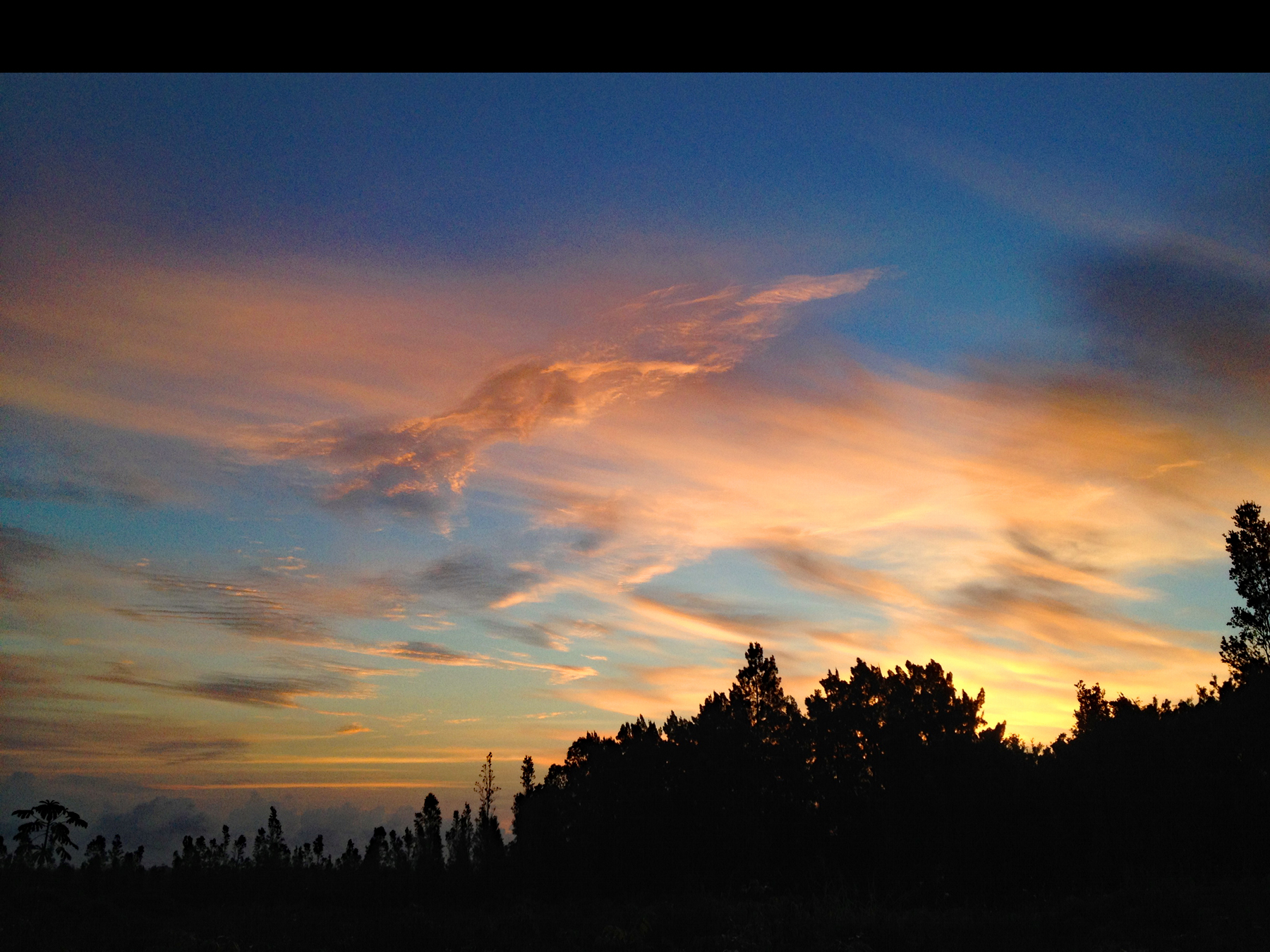 2444 Uhini Ana Rd Mountain View Pahoa, HI 96778 - Photo 25 of 25