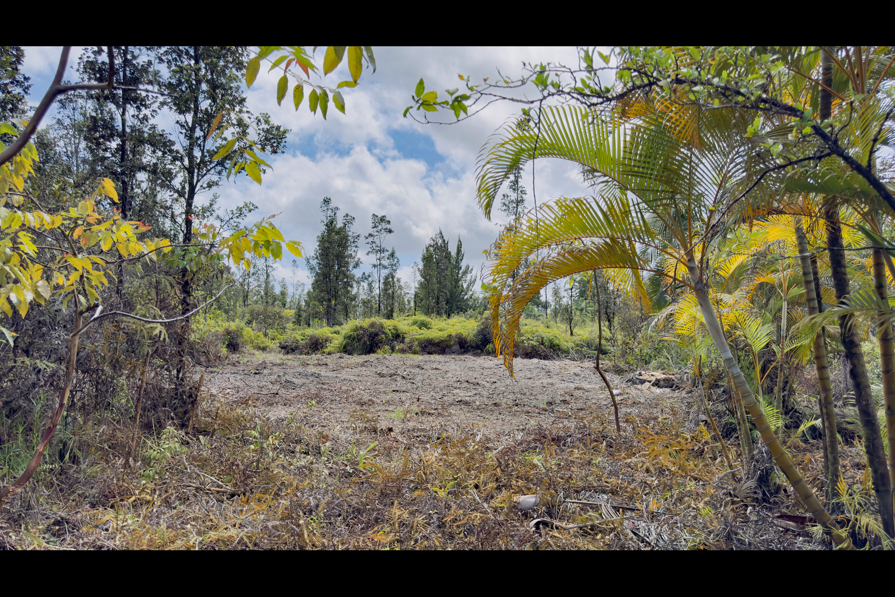 2444 Uhini Ana Rd Mountain View Pahoa, HI 96778 - Photo 6 of 25