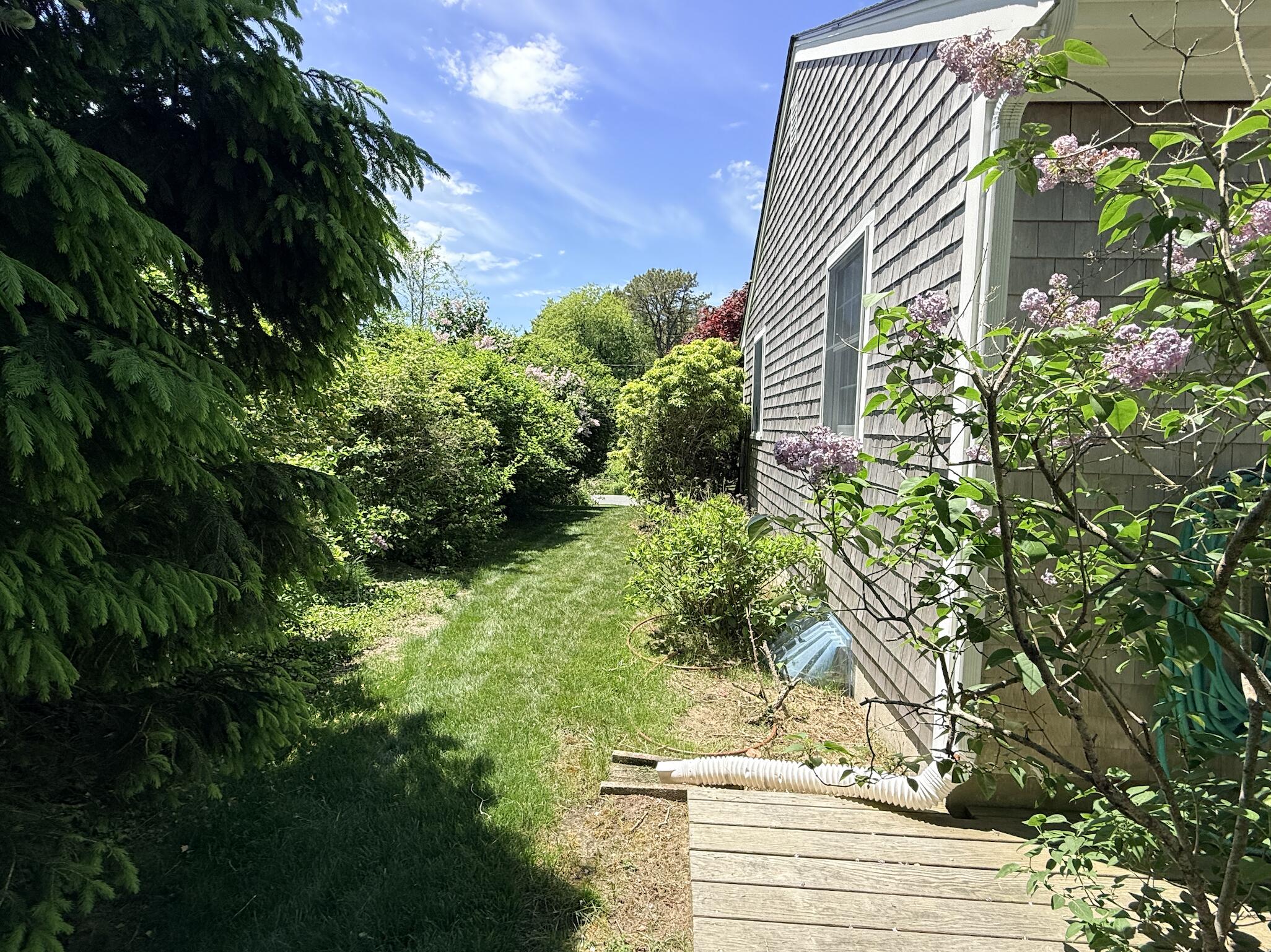 33 Jeanette Road Chatham, MA 02633 - Photo 7 of 15 Right Side of House