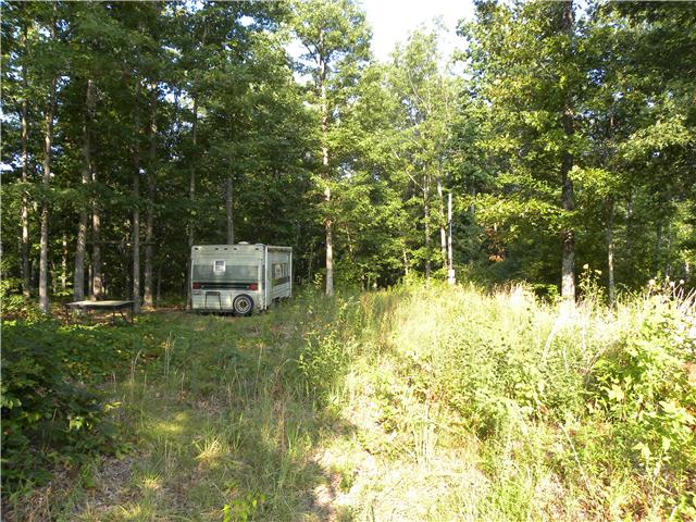178 Deerwood Road Hohenwald, TN 38462 - Photo 2 of 4 Gallery Image 2