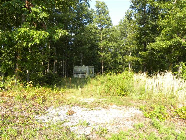178 Deerwood Road Hohenwald, TN 38462 - Photo 3 of 4 Gallery Image 3