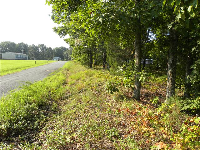 178 Deerwood Road Hohenwald, TN 38462 - Photo 4 of 4 Gallery Image 4