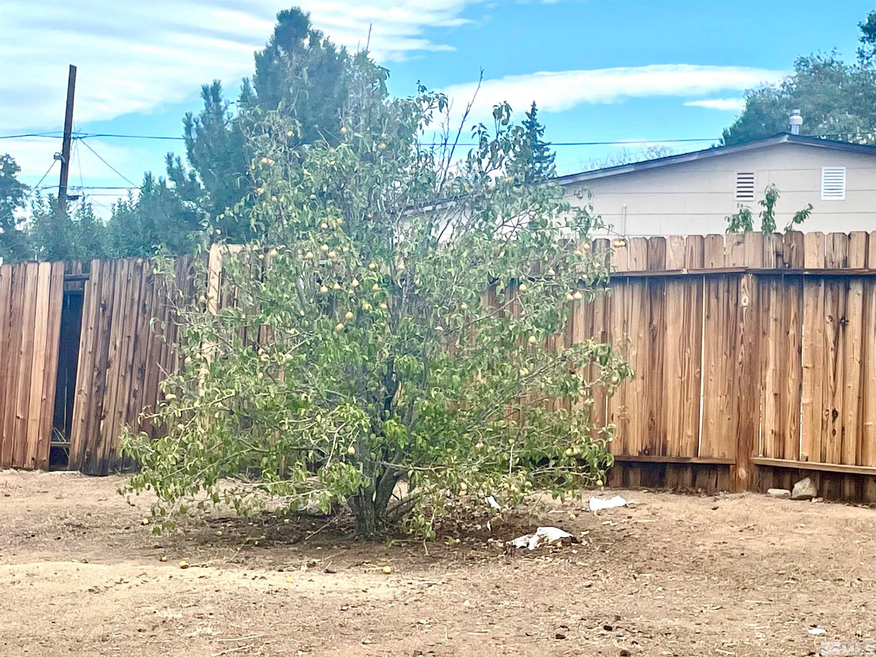 13690 Mt Shasta Street Reno, NV 89506 - Photo 21 of 24 Photo 21