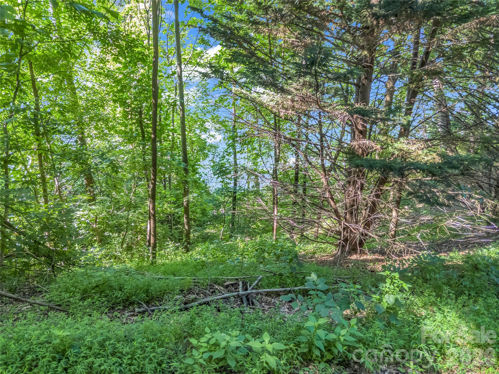 0 Chapel Point Road, Unit 14 Lake Lure, NC 28746 - Photo 22 of 36 Gallery Image 22