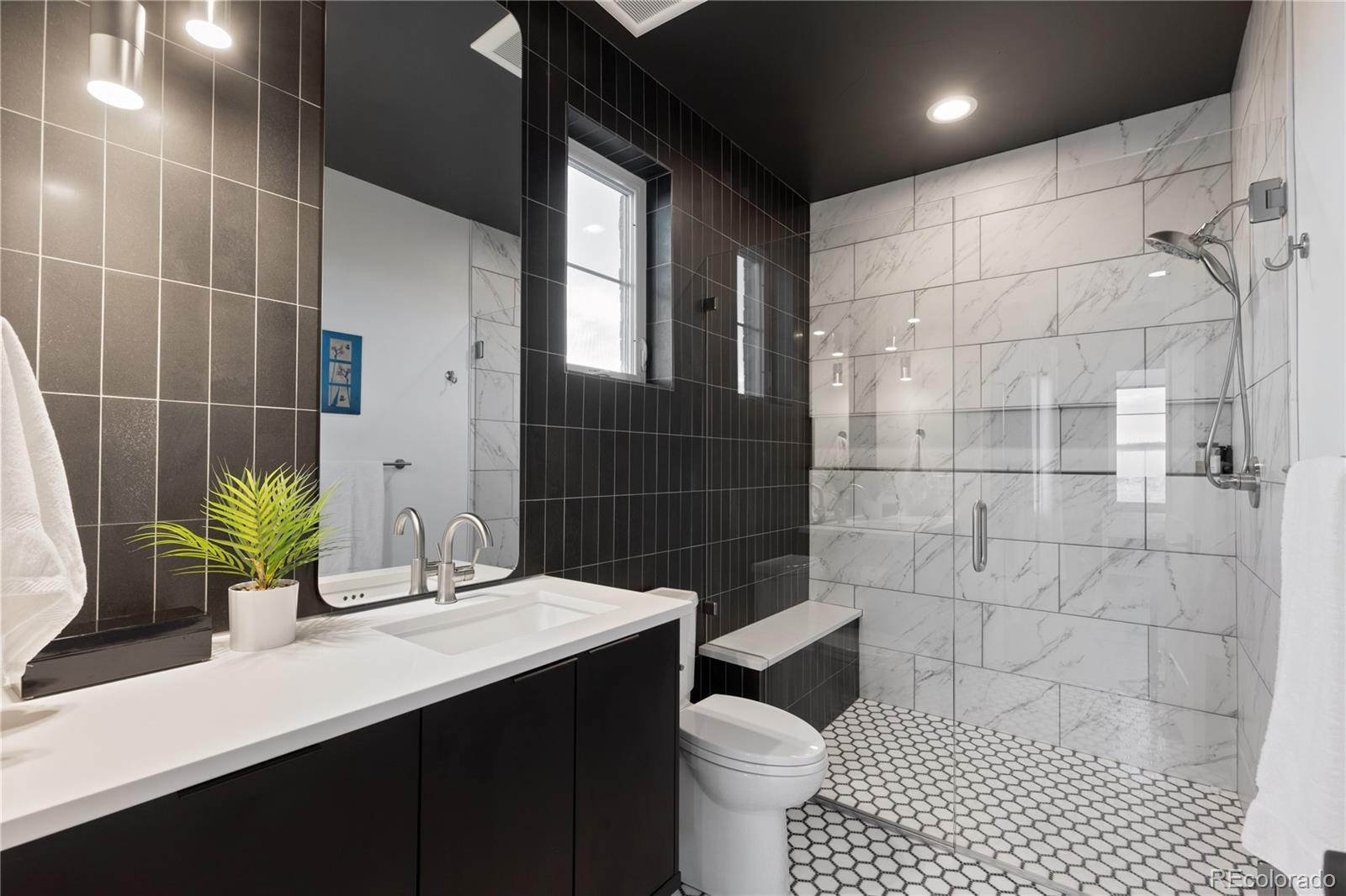 10689 Shadow Pines Road Parker, CO 80138 - Photo 19 of 50 a bathroom with a sink toilet and shower