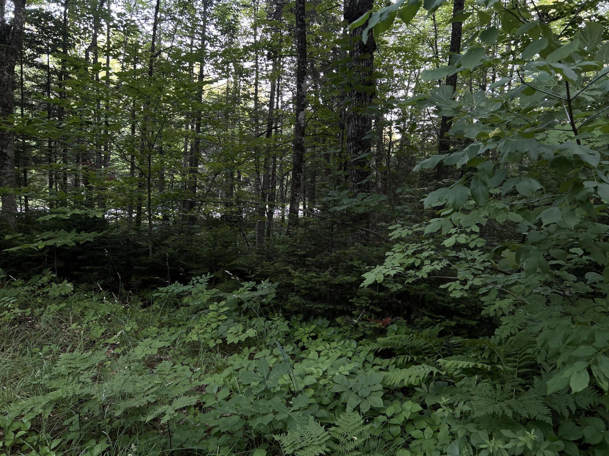24a Anson Valley Road New Vineyard, ME 04956 - Photo 18 of 93 IMG_4945