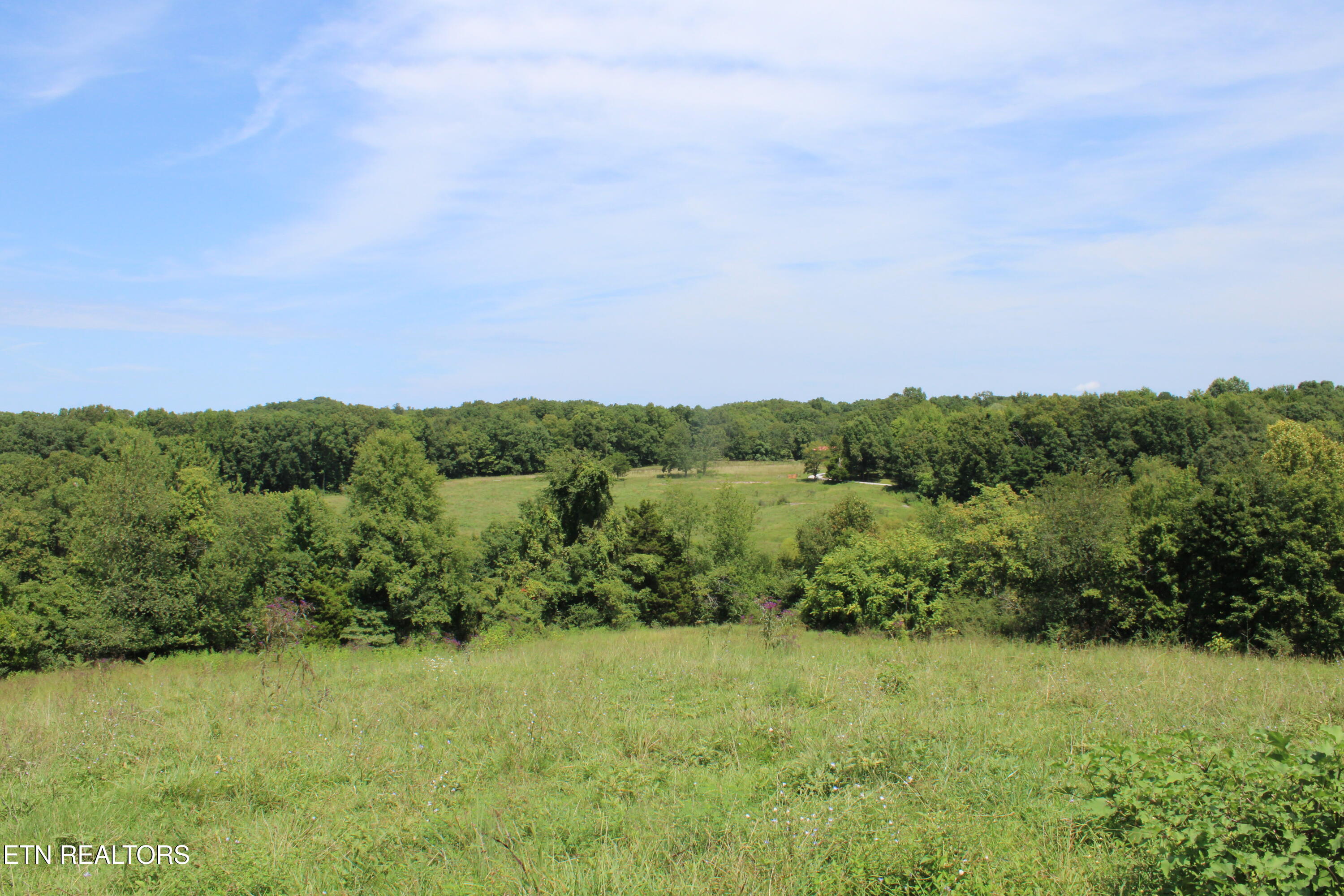 536 Ted Brooks Road Jamestown, TN 38556 - Photo 22 of 43 IMG_2085