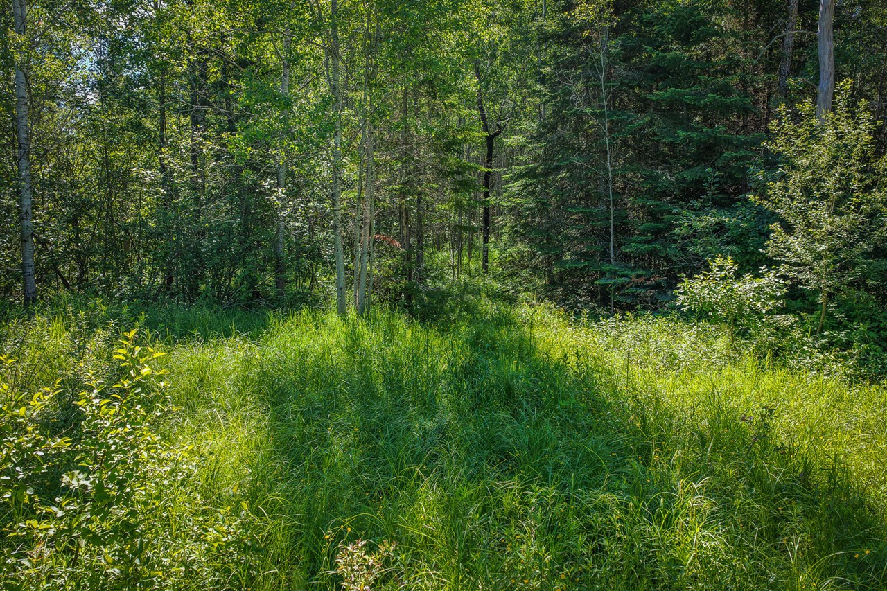 South North Hulbert Road Eckerman, MI 49728 - Photo 13 of 29