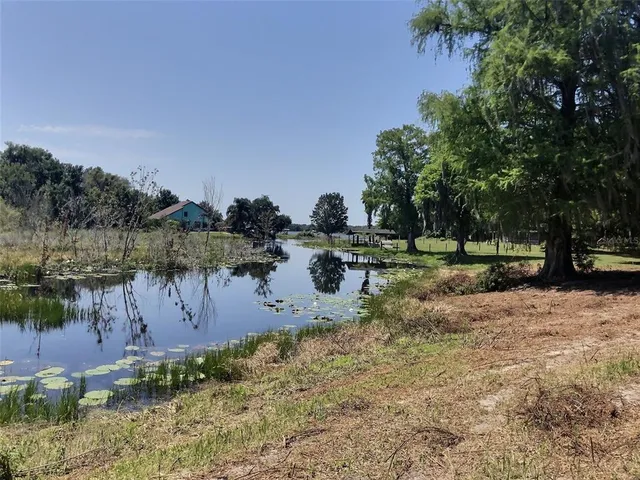 a view of a park with large trees