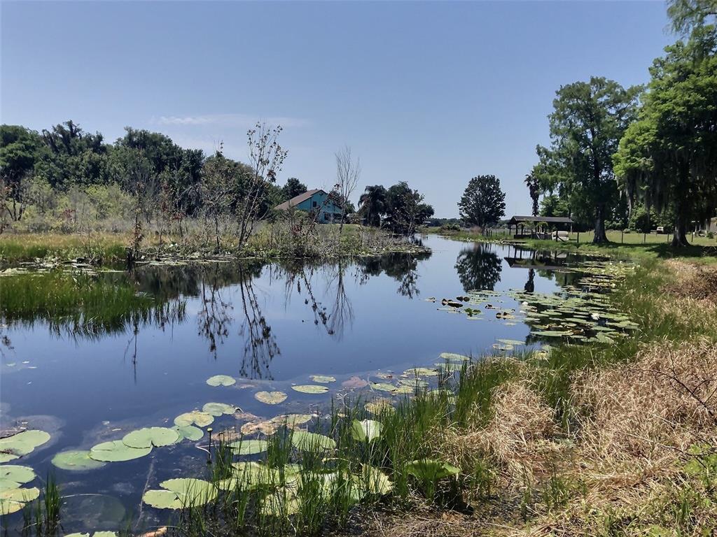 0 Southeast 110th Street Road Belleview, FL 34420 - Photo 3 of 9 a view of a lake from a yard