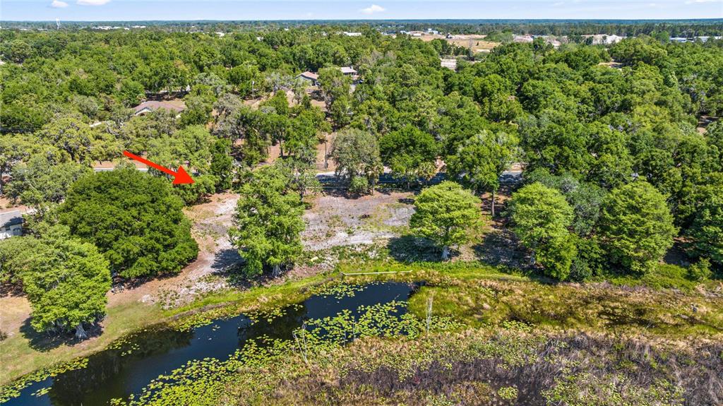 0 Southeast 110th Street Road Belleview, FL 34420 - Photo 4 of 9