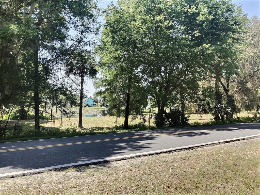 0 Southeast 110th Street Road Belleview, FL 34420 - Photo 6 of 9 a view of a yard with large trees