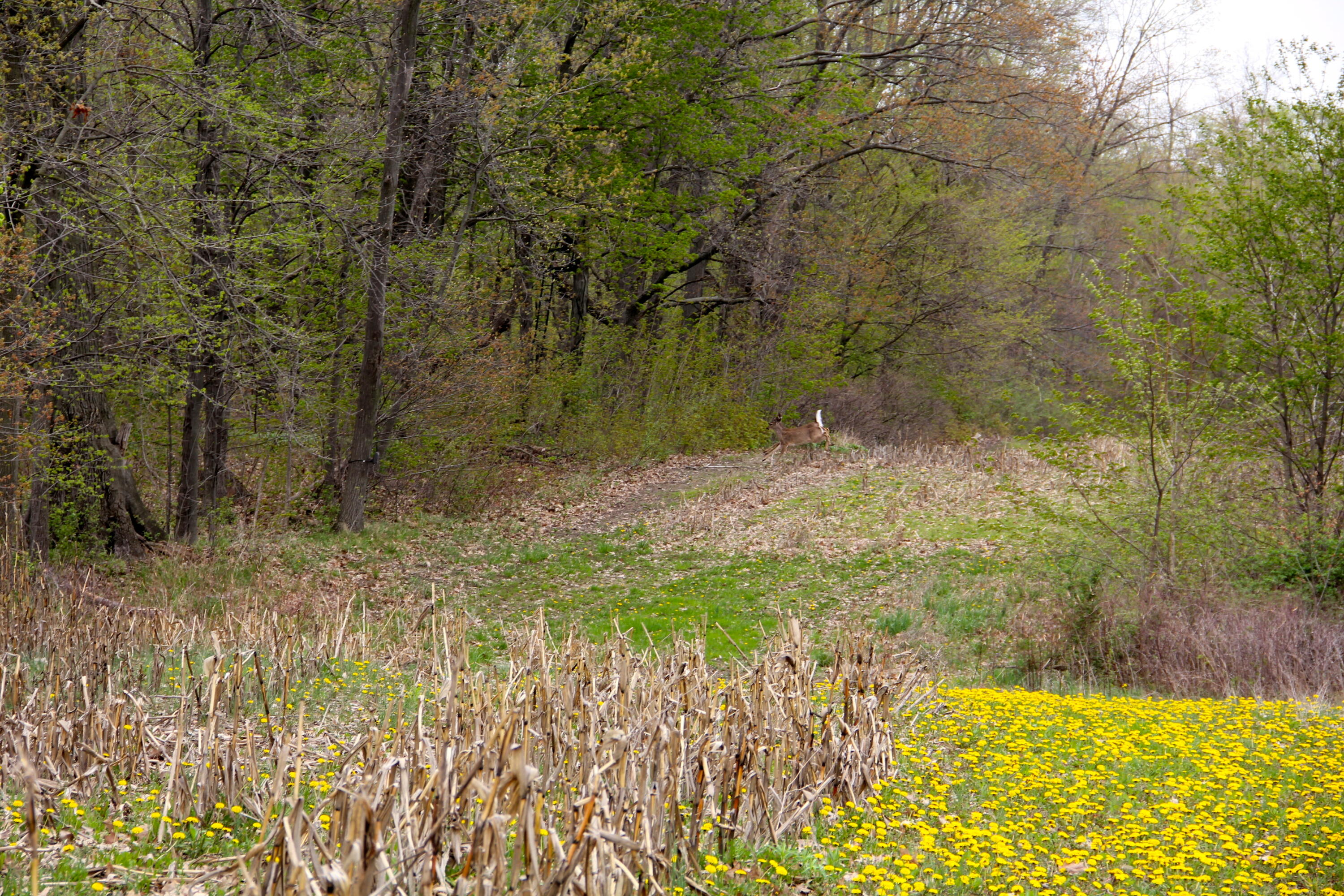 3405 Bauer Road Jenison, MI 49428 - Photo 13 of 17 IMG_4524