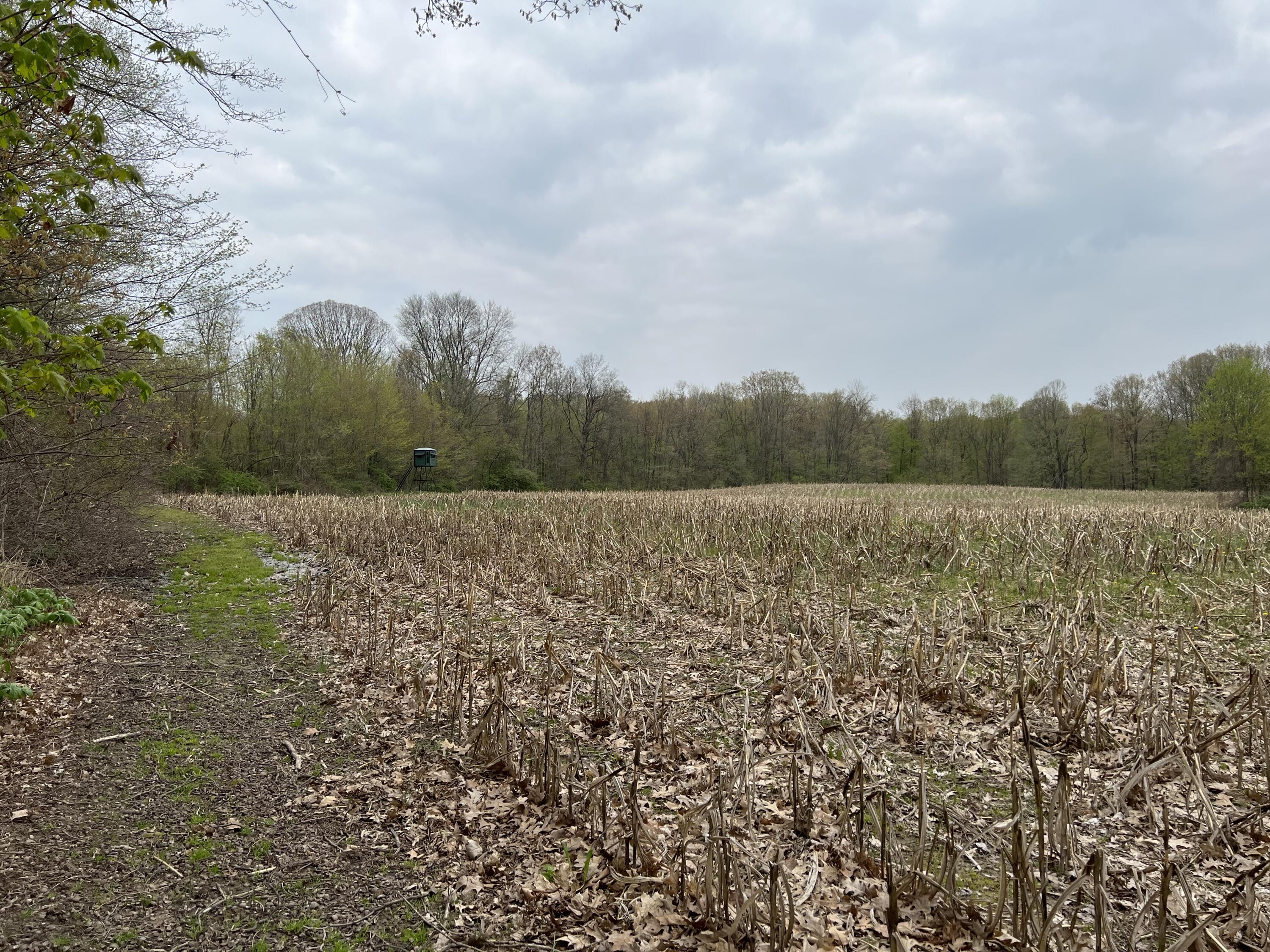 3405 Bauer Road Jenison, MI 49428 - Photo 15 of 17 E279B6CB-E6F2-48FA-A75D-AF6CD3DBA10B