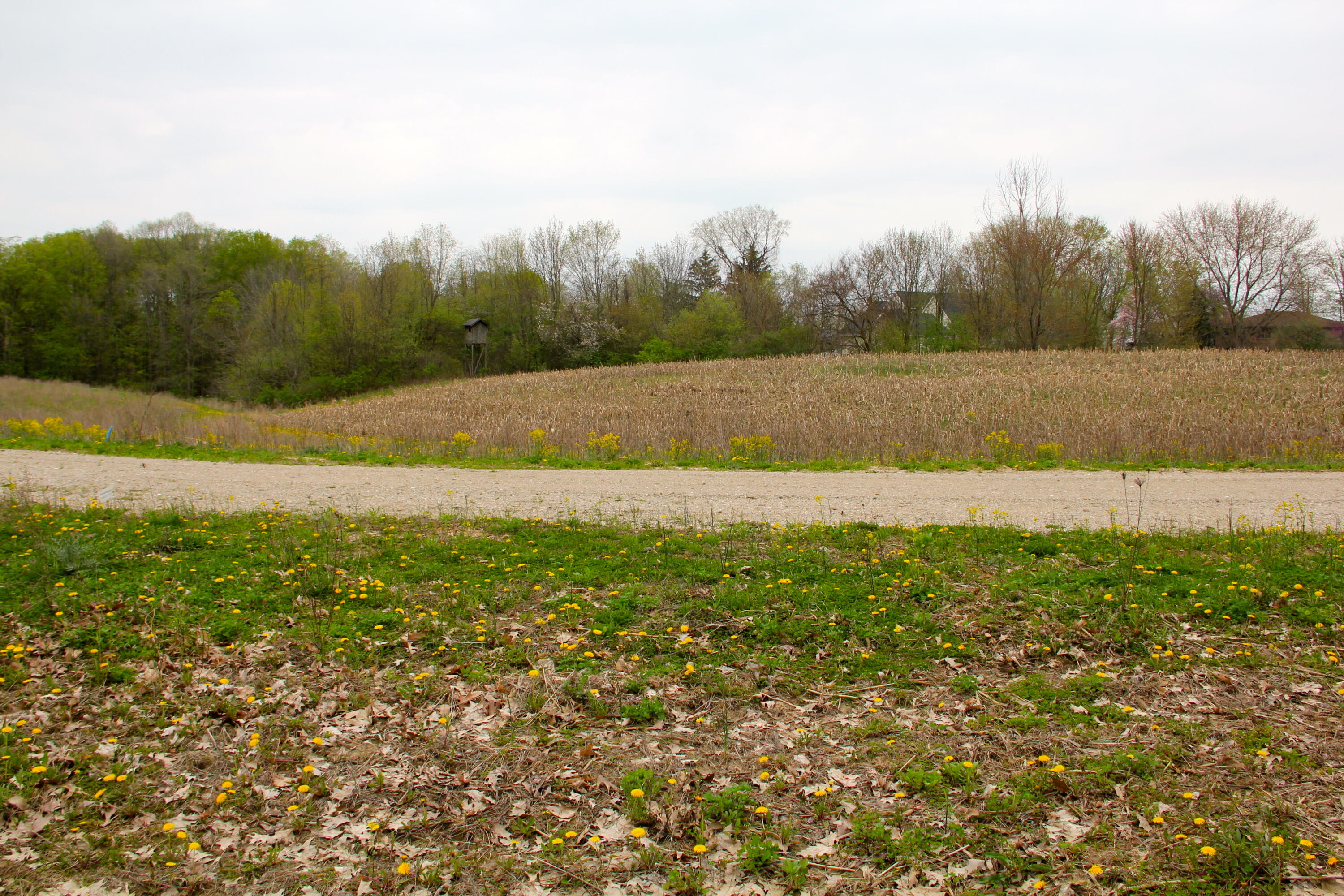 3405 Bauer Road Jenison, MI 49428 - Photo 7 of 17 IMG_4515