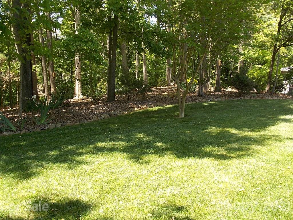 1766 Williams Road Fort Mill, SC 29715 - Photo 32 of 32 a backyard of a house with lots of green space and fountain