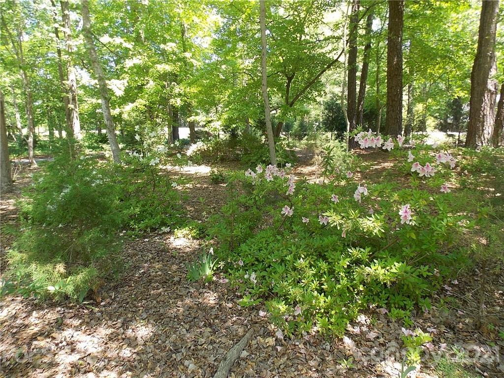 1766 Williams Road Fort Mill, SC 29715 - Photo 5 of 32 a view of outdoor space with green space and trees all around