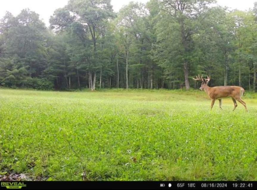 109-ac Sutton Road Minocqua, WI 54548 - Photo 2 of 26 Gallery Image 2