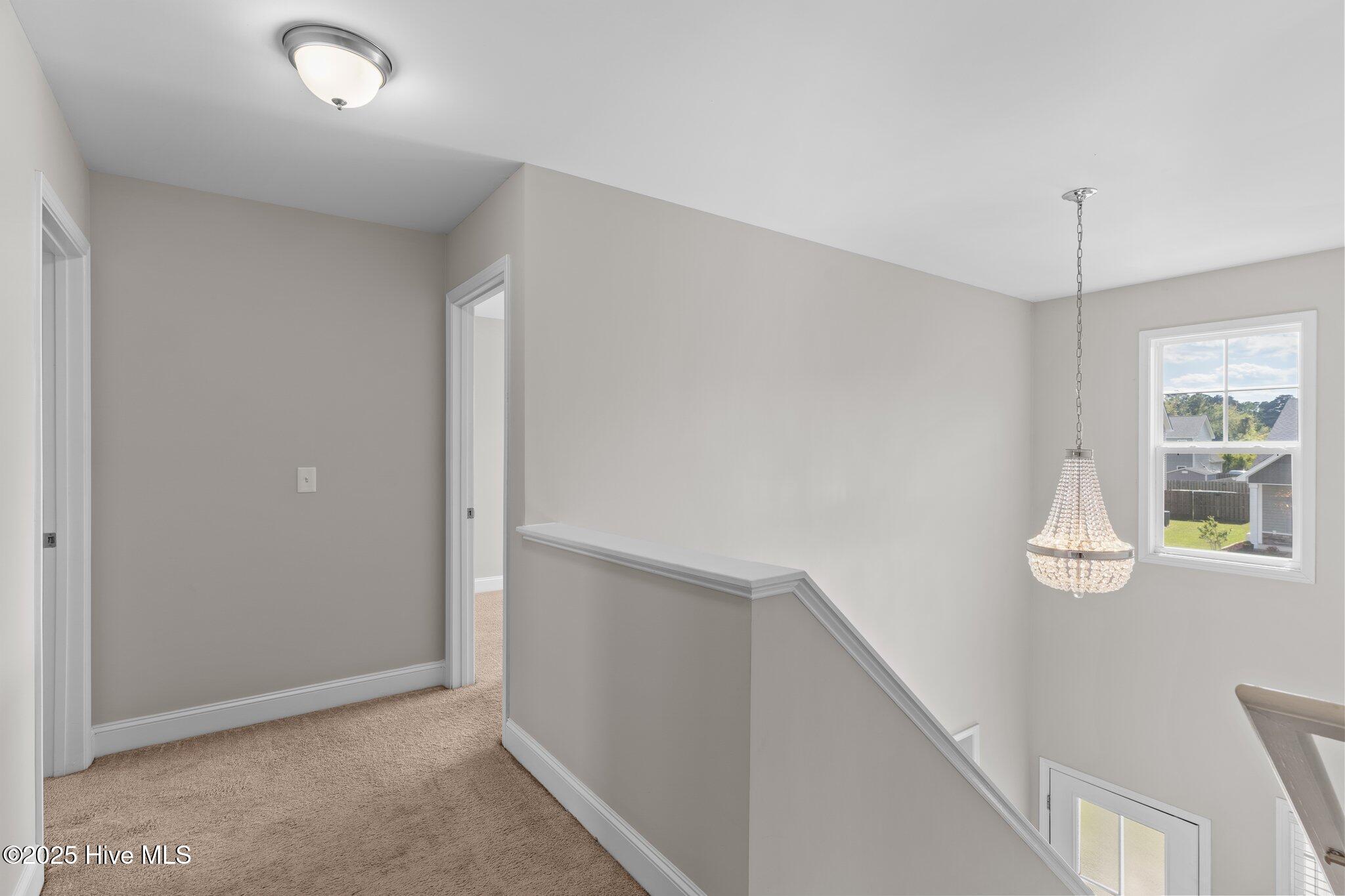 1323 Teddy Road Castle Hayne, NC 28429 - Photo 22 of 55 9-web-or-mls-BTS09452