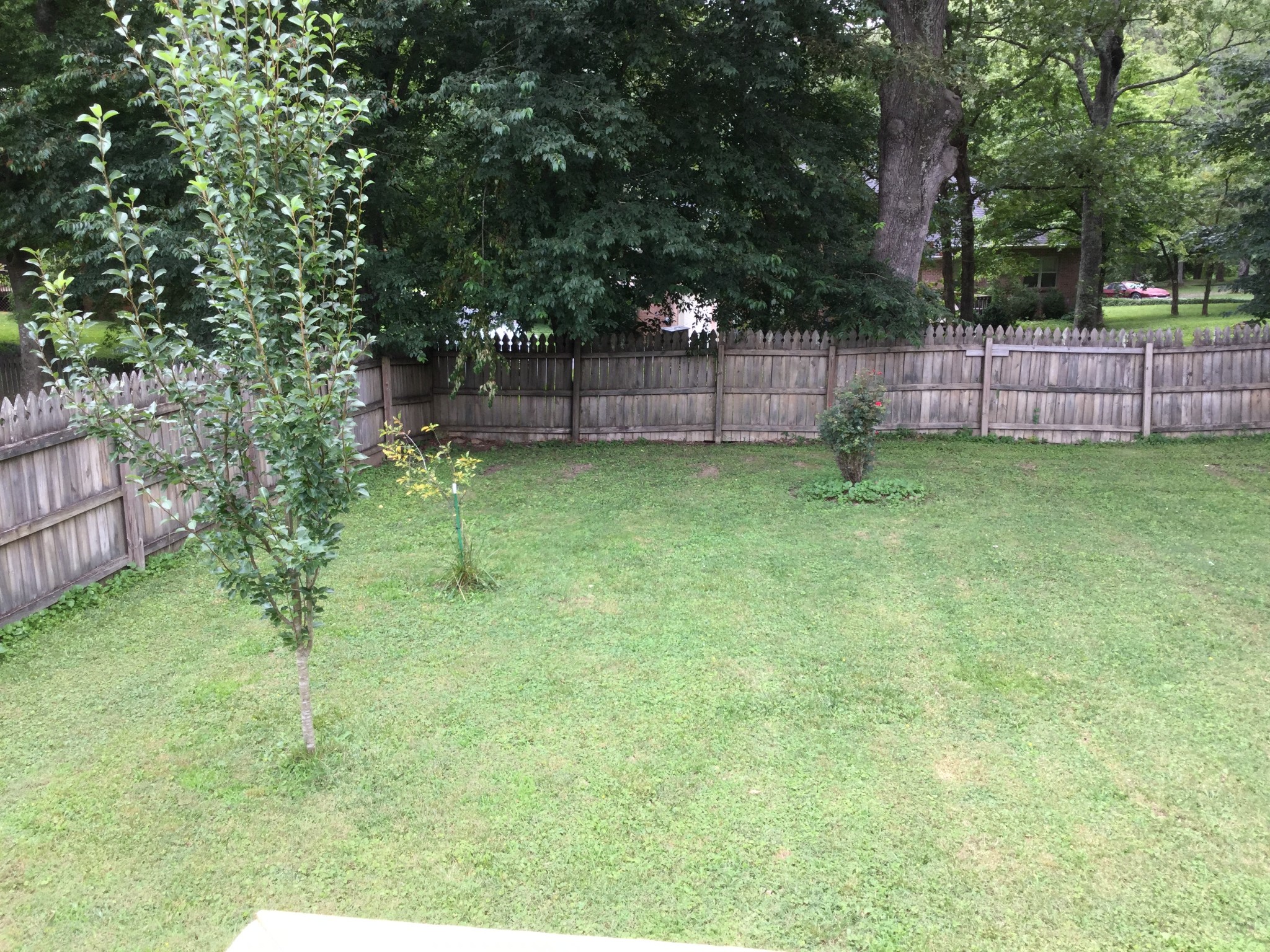 125 Breckenridge Road Tullahoma, TN 37388 - Photo 9 of 38 Gallery Image 9
