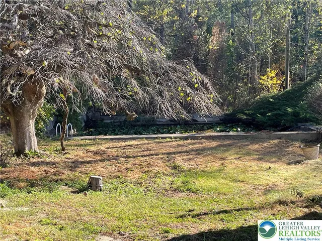 a view of a yard with plants