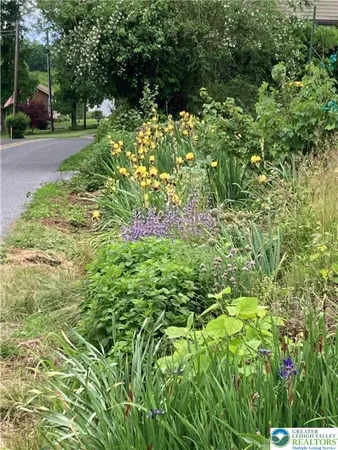 a view of outdoor space and garden