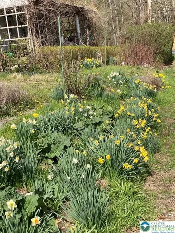 a view of a vase of flowers
