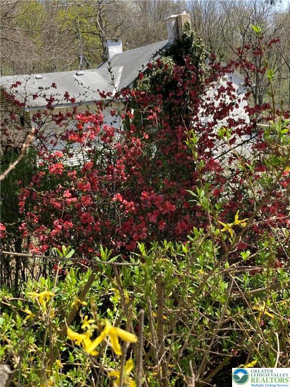 7007 Bausch Road New Tripoli, PA 18066 - Photo 34 of 36