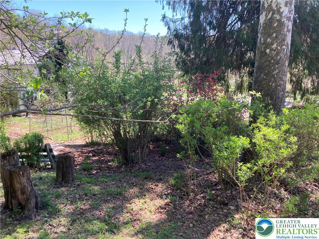 7007 Bausch Road New Tripoli, PA 18066 - Photo 36 of 36 a view of a yard with plants and large trees