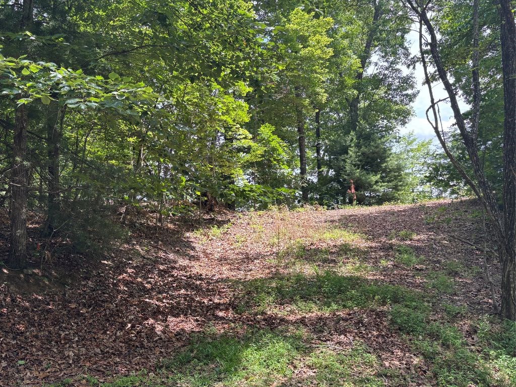 Lot 46 Mission Ridge Hayesville, NC 28904 - Photo 6 of 15