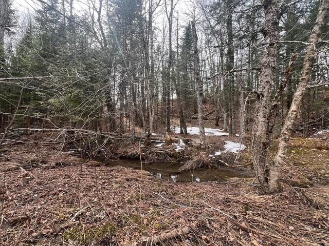 Lot 2 Back Ridge Road Houlton, ME 04730 - Photo 22 of 31 IMG_4507