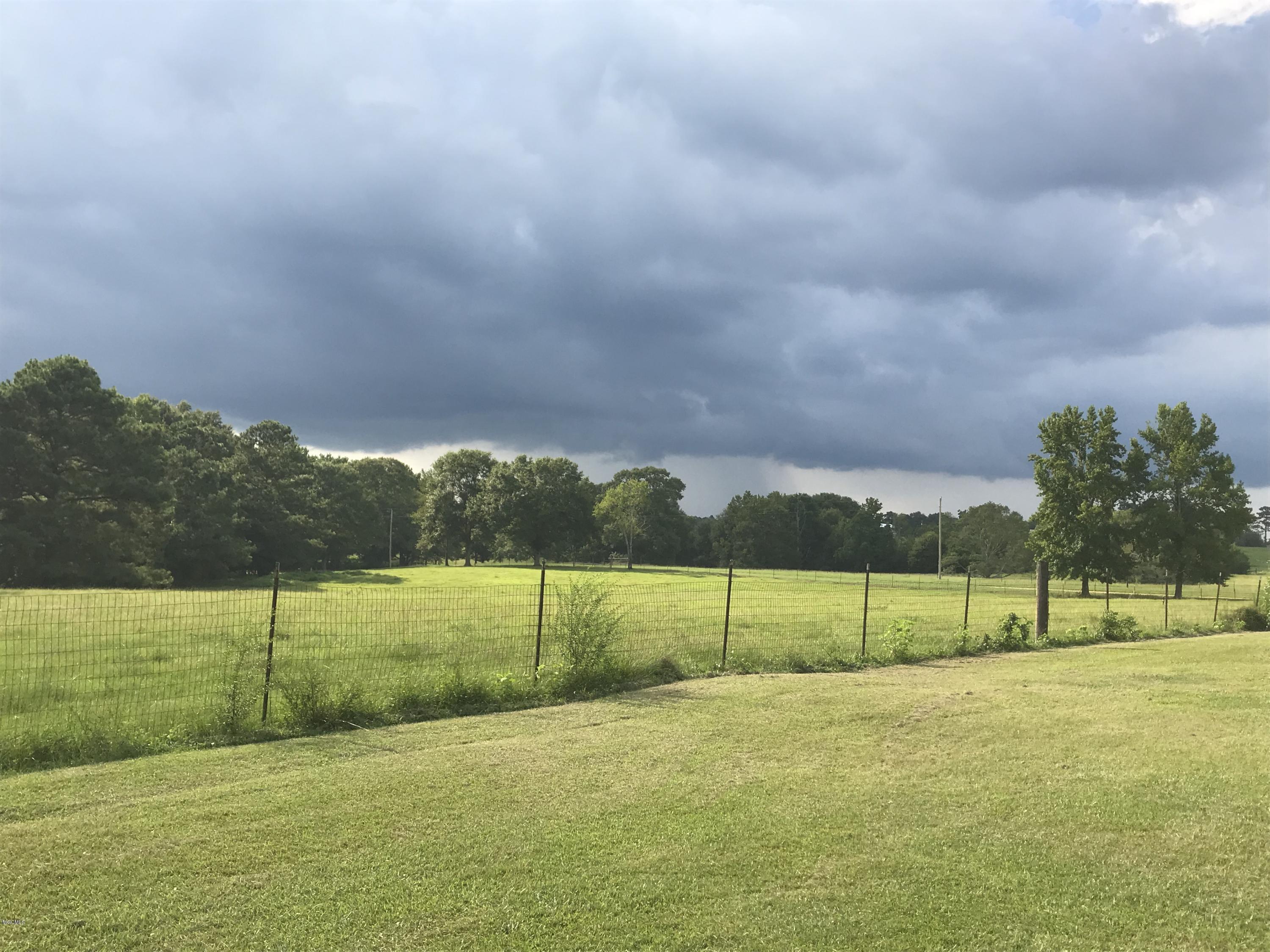 134 Riley Boone Road Carriere, MS 39426 - Photo 11 of 22 IMG_6621