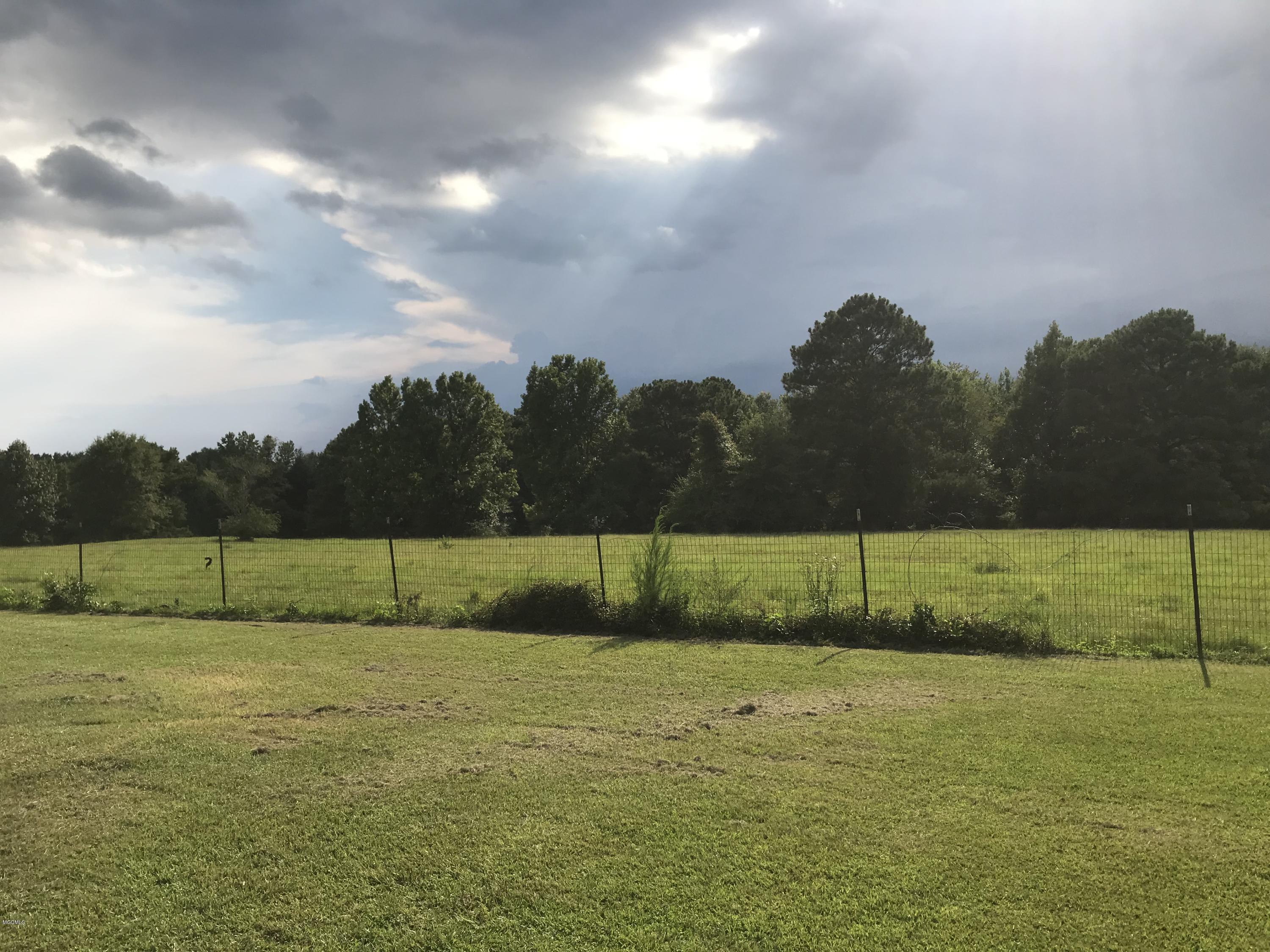 134 Riley Boone Road Carriere, MS 39426 - Photo 13 of 22 IMG_6625