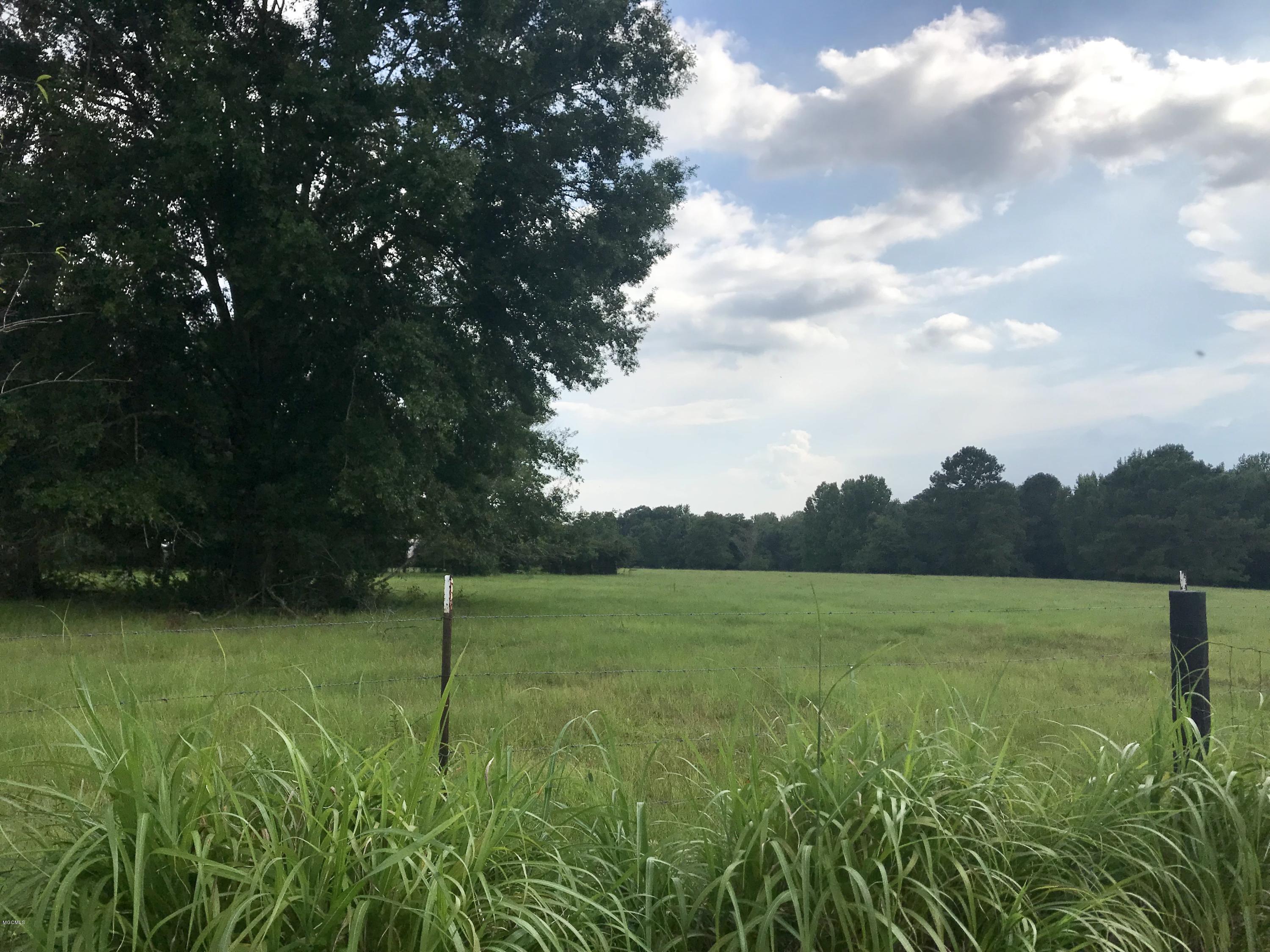 134 Riley Boone Road Carriere, MS 39426 - Photo 8 of 22 IMG_6612